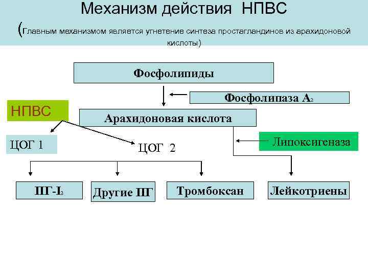 Механизм действия нпвс схема