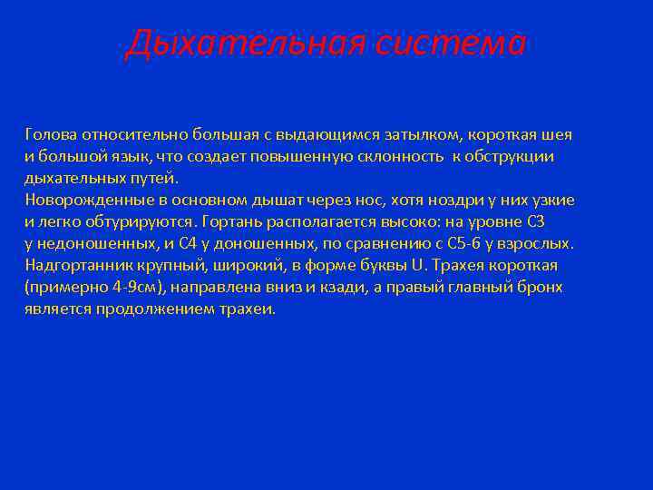 Дыхательная система Голова относительно большая с выдающимся затылком, короткая шея и большой язык, что