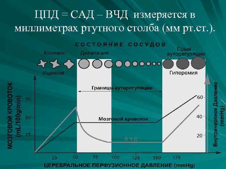 ЦПД = САД – ВЧД измеряется в миллиметрах ртутного столба (мм рт. ст. ).