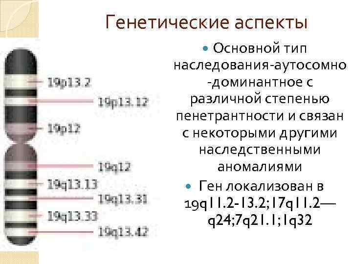 Генетические аспекты Основной тип наследования-аутосомно -доминантное с различной степенью пенетрантности и связан с некоторыми