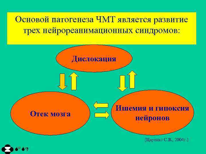 Основой патогенеза ЧМТ является развитие трех нейрореанимационных синдромов: Дислокация Отек мозга Ишемия и гипоксия