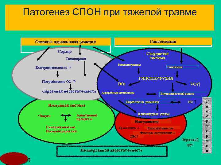 Патогенез СПОН при тяжелой травме Гиповолемия Симпато-адреналовая реакция Сердце Сосудистая система Тахикардия Вазоконстрикция Контрактильность