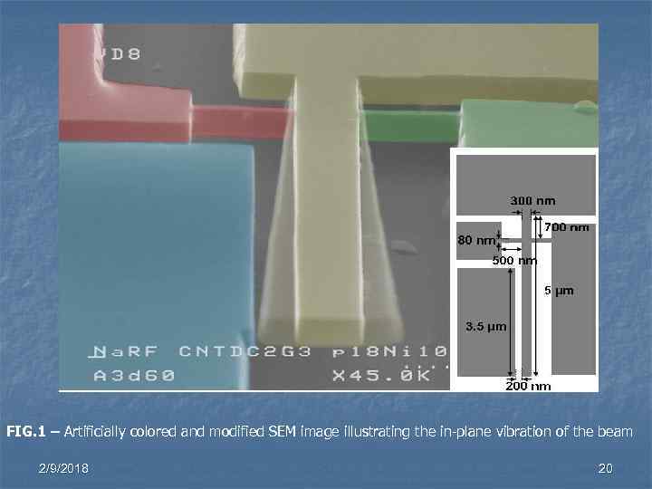 FIG. 1 – Artificially colored and modified SEM image illustrating the in-plane vibration of