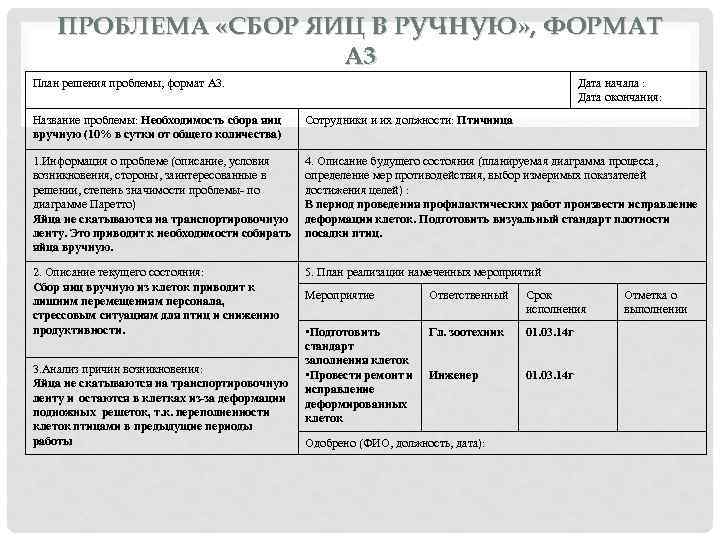 ПРОБЛЕМА «СБОР ЯИЦ В РУЧНУЮ» , ФОРМАТ А 3 План решения проблемы, формат А