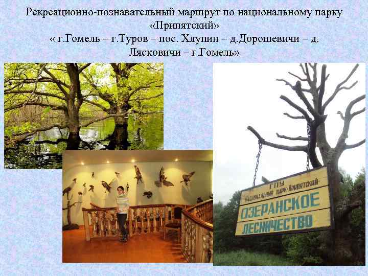 Рекреационно-познавательный маршрут по национальному парку «Припятский» « г. Гомель – г. Туров – пос.