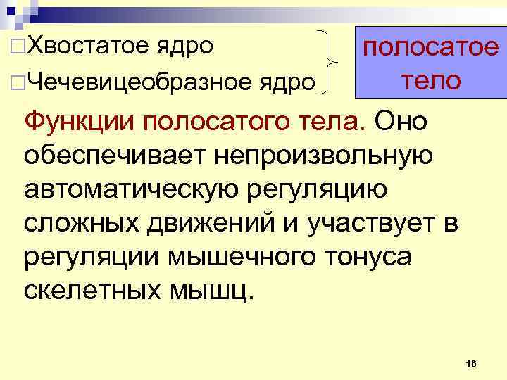 Тело функции. Полосатое тело функции. Функции полосатого тела физиология. Образование полосатого тела и его функции. Ядра полосатого тела функции.