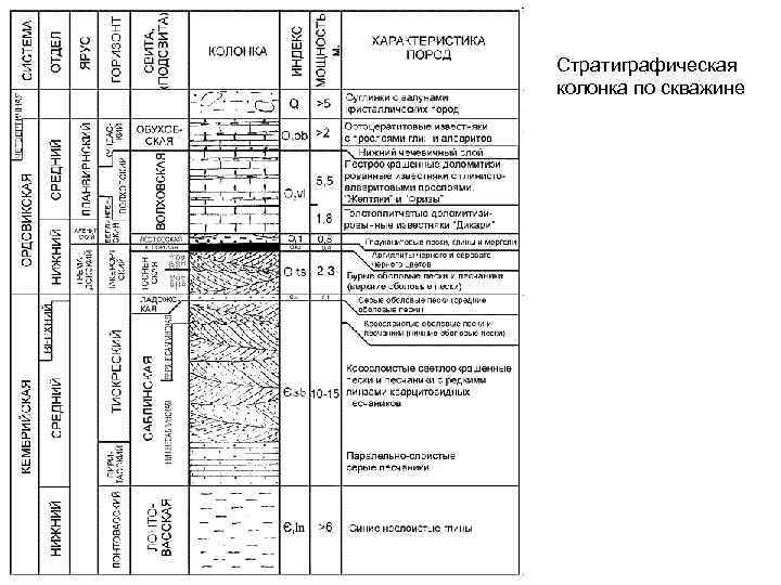 Стратиграфическая колонка по скважине 