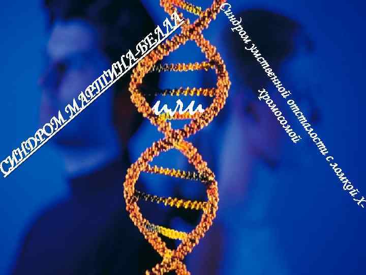 Си ом ндр ум ис ст ало ст от мой ной осо вен ом