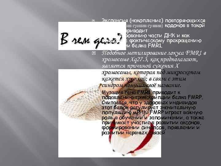  Экспансия (накопление) повторяющихся CGG (цитозин-гуанин) кодонов в такой степени приводит к метилированию части