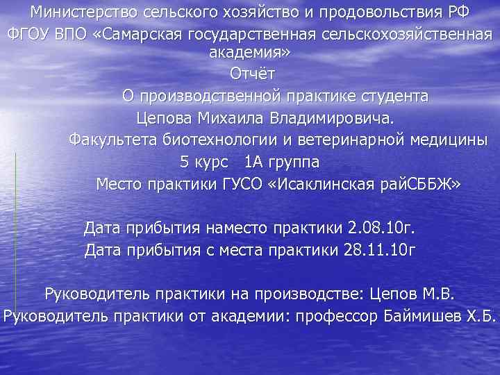 Министерство сельского хозяйство и продовольствия РФ ФГОУ ВПО «Самарская государственная сельскохозяйственная академия» Отчёт О