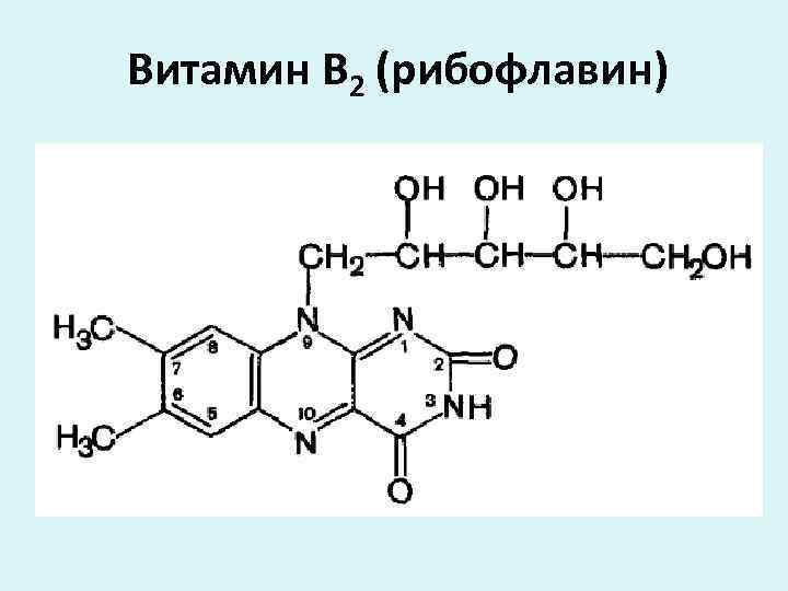 Витамин В 2 (рибофлавин) 