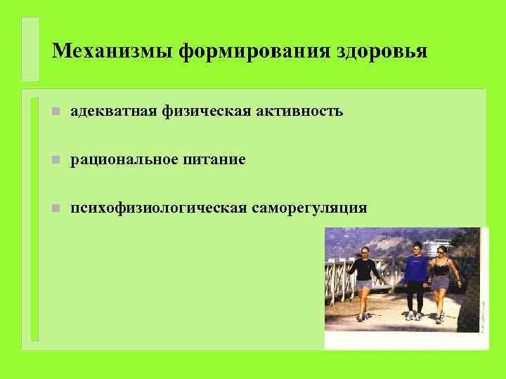 Механизмы формирования здоровья n адекватная физическая активность n рациональное питание n психофизиологическая саморегуляция 