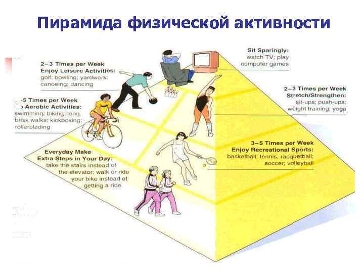 Пирамида физической активности 