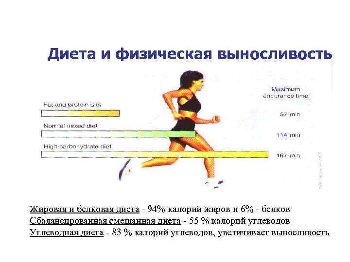 Диета и физическая выносливость Жировая и белковая диета - 94% калорий жиров и 6%