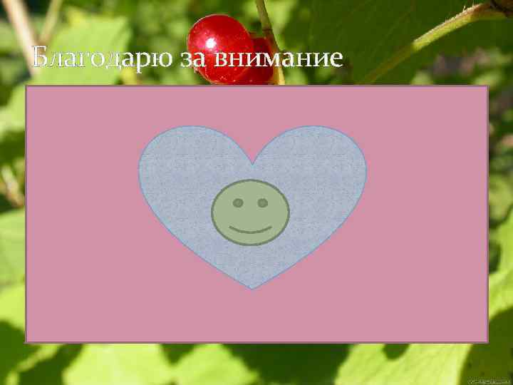 Благодарю за внимание 