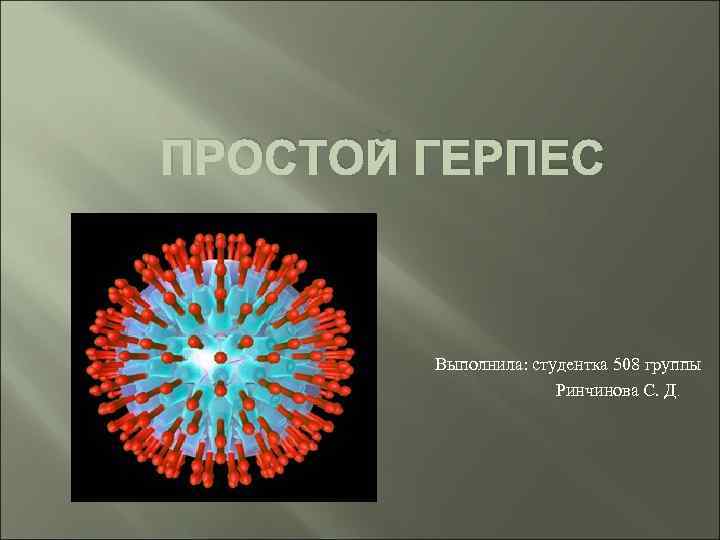 ПРОСТОЙ ГЕРПЕС Выполнила: студентка 508 группы Ринчинова С. Д. 