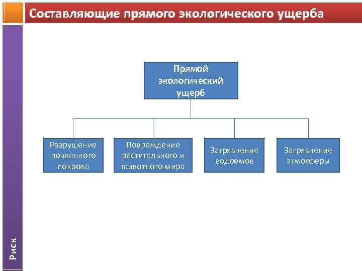 Составляющие прямого экологического ущерба Прямой экологический ущерб Риск Разрушение почвенного покрова Повреждение растительного и