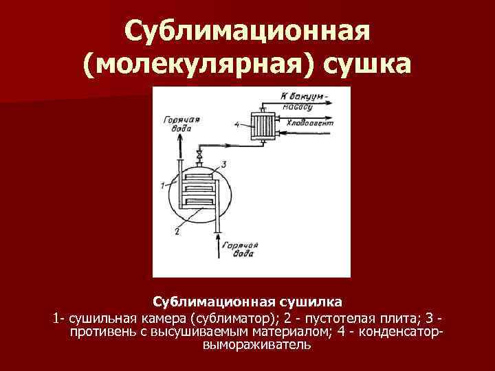 Сублимационная (молекулярная) сушка Сублимационная сушилка 1 сушильная камера (сублиматор); 2 пустотелая плита; 3 противень