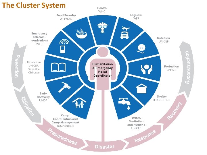 The Cluster System 