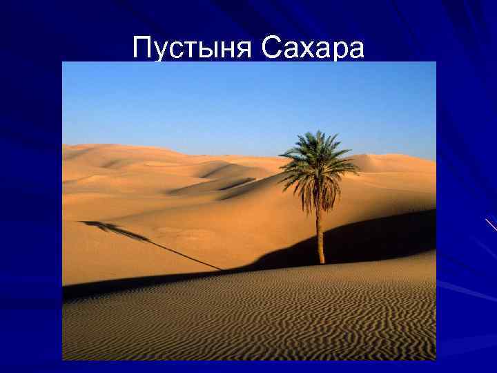 Пустыня Сахара 