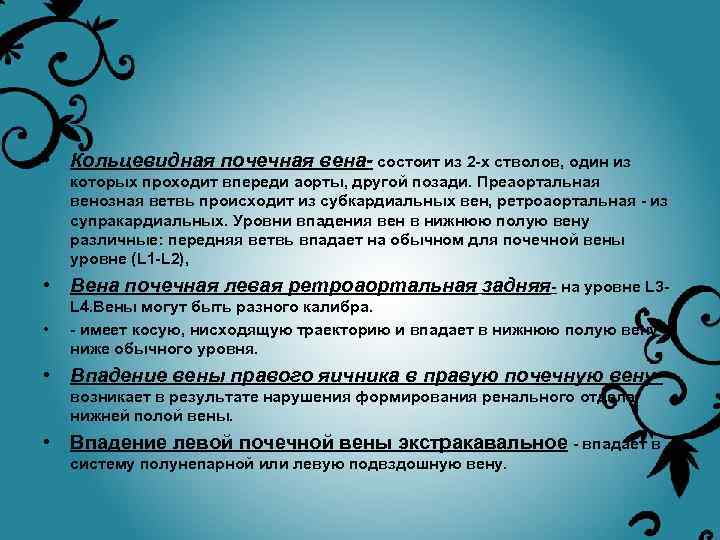  • Кольцевидная почечная вена- состоит из 2 -х стволов, один из которых проходит