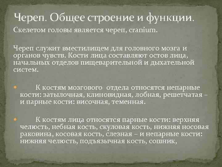 Череп. Общее строение и функции. Скелетом головы является череп, cranium. Череп служит вместилищем для