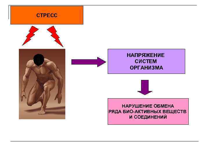 СТРЕСС НАПРЯЖЕНИЕ СИСТЕМ ОРГАНИЗМА НАРУШЕНИЕ ОБМЕНА РЯДА БИО-АКТИВНЫХ ВЕЩЕСТВ И СОЕДИНЕНИЙ 