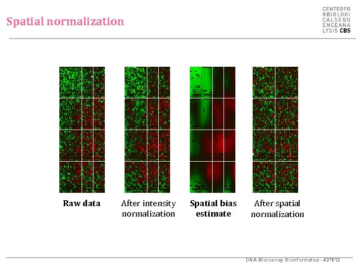 Spatial normalization Raw data After intensity normalization Spatial bias estimate After spatial normalization DNA