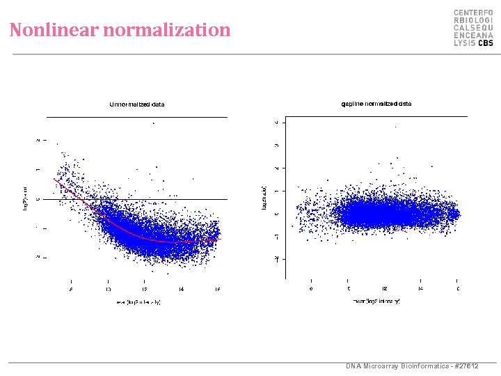 Nonlinear normalization DNA Microarray Bioinformatics - #27612 
