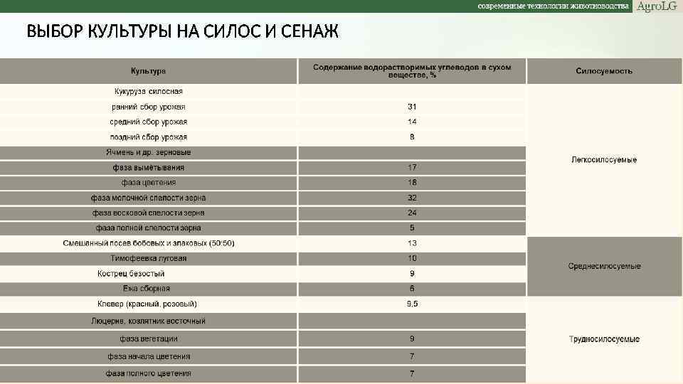 ВЫБОР КУЛЬТУРЫ НА СИЛОС И СЕНАЖ 