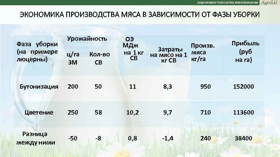 ЭКОНОМИКА ПРОИЗВОДСТВА МЯСА В ЗАВИСИМОСТИ ОТ ФАЗЫ УБОРКИ Урожайность ОЭ МДж Произв. на 1