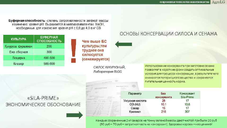 ОСНОВЫ КОНСЕРВАЦИИ СИЛОСА И СЕНАЖА «SILA-PRIME» ЭКОНОМИЧЕСКОЕ ОБОСНОВАНИЕ 