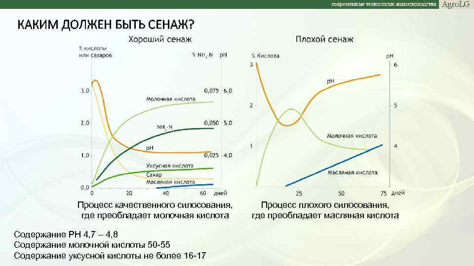 КАКИМ ДОЛЖЕН БЫТЬ СЕНАЖ? Процесс качественного силосования, где преобладает молочная кислота Содержание PH 4,