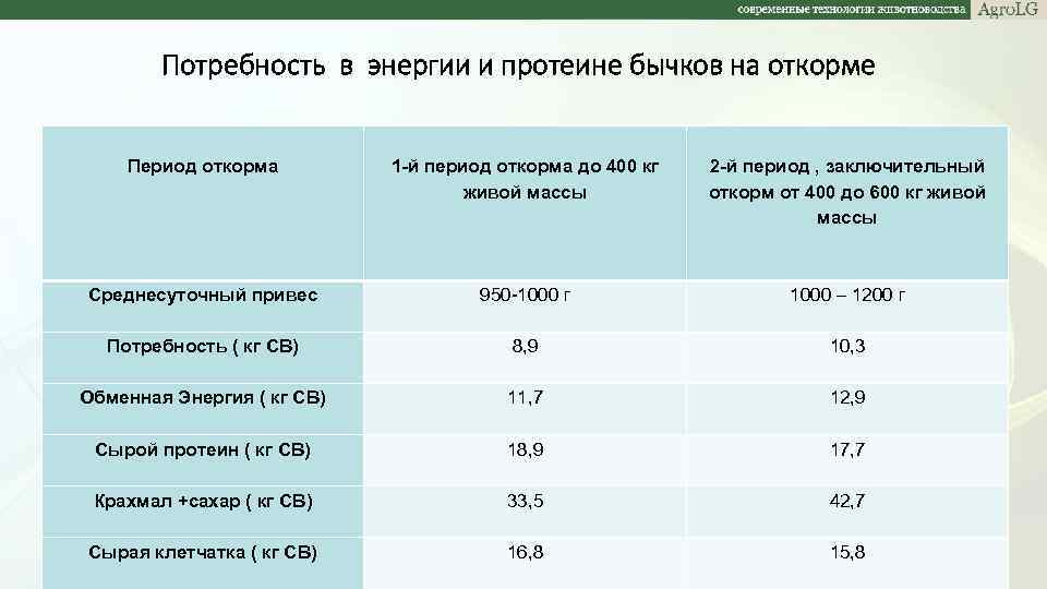 Потребность в энергии и протеине бычков на откорме Период откорма 1 -й период откорма