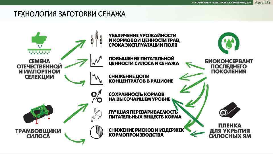 ТЕХНОЛОГИЯ ЗАГОТОВКИ СЕНАЖА 