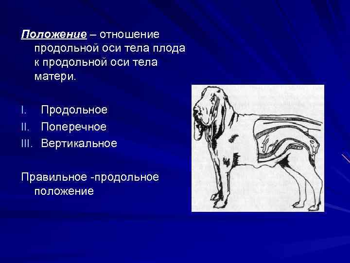 Диагностика беременности презентация