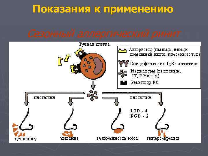 Показания к применению Сезонный аллергический ринит 