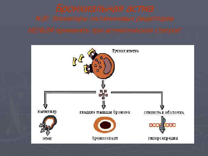 Бронхиальная астма N. B! Блокаторы гистаминовых рецепторов НЕЛЬЗЯ применять при астматическом статусе! 