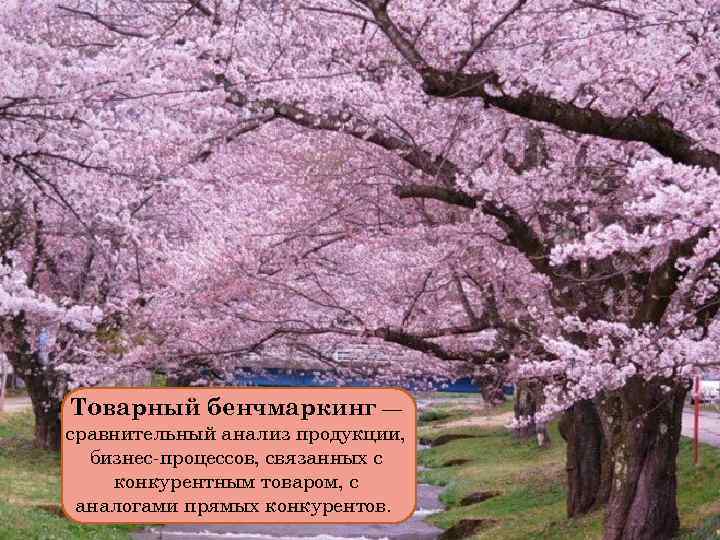 Товарный бенчмаркинг — сравнительный анализ продукции, бизнес-процессов, связанных с конкурентным товаром, с аналогами прямых