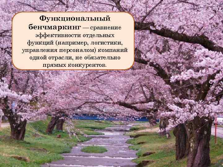 Функциональный бенчмаркинг — сравнение эффективности отдельных функций (например, логистики, управления персоналом) компаний одной отрасли,
