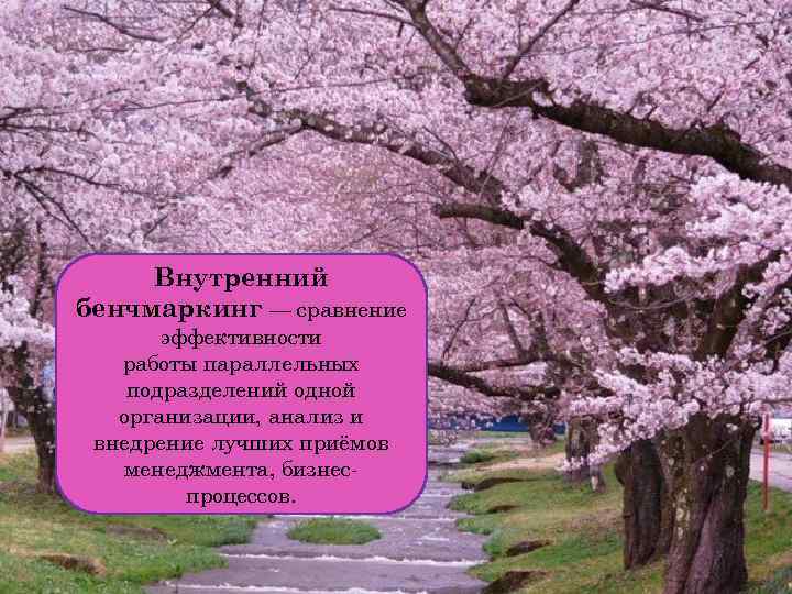 Внутренний бенчмаркинг — сравнение эффективности работы параллельных подразделений одной организации, анализ и внедрение лучших