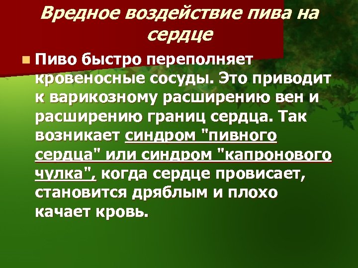 Вредное воздействие пива на сердце n Пиво быстро переполняет кровеносные сосуды. Это приводит к