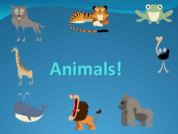 Animals! 