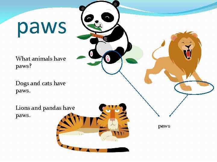 paws What animals have paws? Dogs and cats have paws. Lions and pandas have