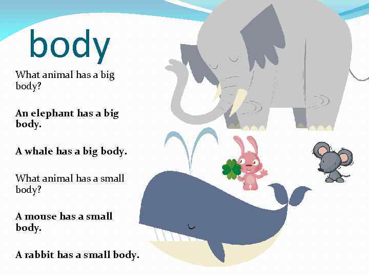 body What animal has a big body? An elephant has a big body. A