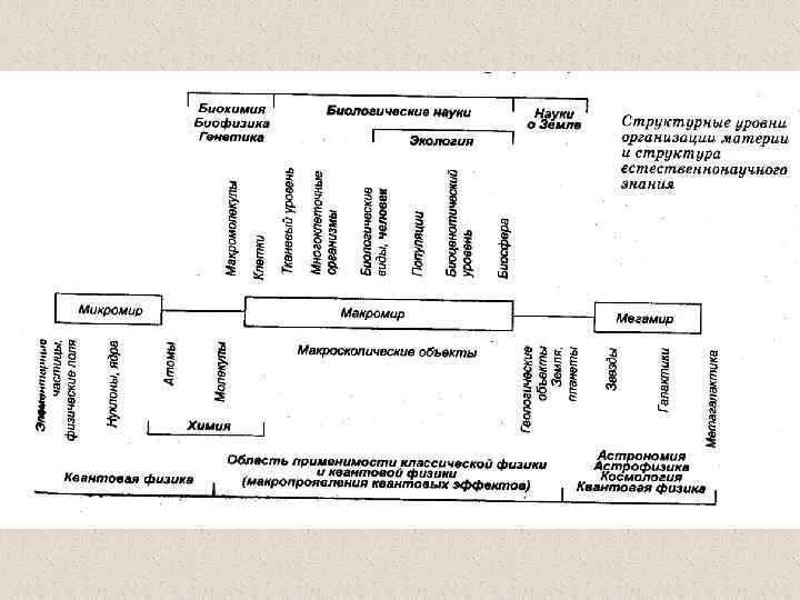 Современные представления об уровнях организации материи презентация