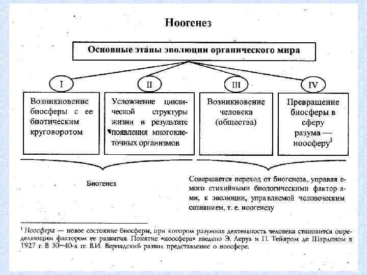 Эволюция биосферы план параграфа