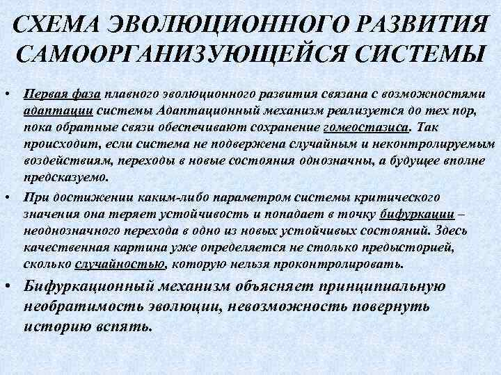 СХЕМА ЭВОЛЮЦИОННОГО РАЗВИТИЯ САМООРГАНИЗУЮЩЕЙСЯ СИСТЕМЫ • Первая фаза плавного эволюционного развития связана с возможностями