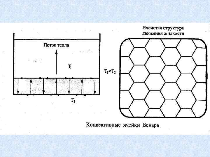 Ячеистый рисунок кожи