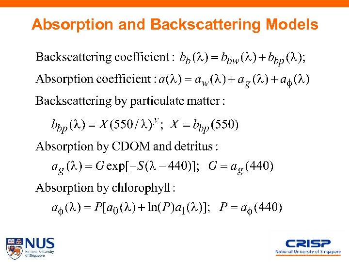 Absorption and Backscattering Models 